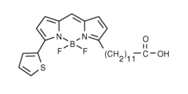 BODIPY558/568 C12