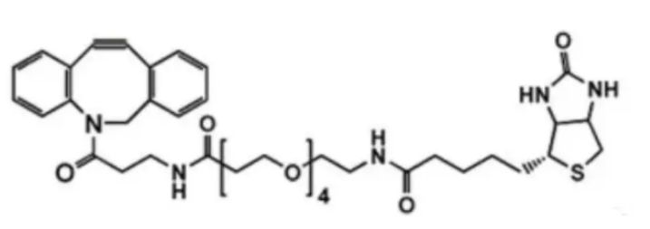 二苯基環辛炔-PEG4-生物素