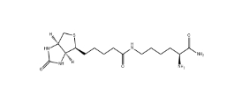 H-Lys(biotinyl)-NH?  	61125-53-9     賴氨酸(生物素基)-NH?	