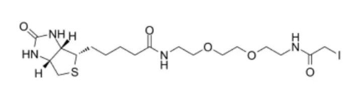 生物素-二聚乙二醇-碘乙酰胺