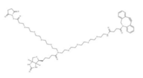 N-(DBCO-PEG4)-N-Biotin-PEG4-NHS