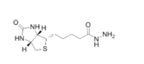 生物素酰肼	