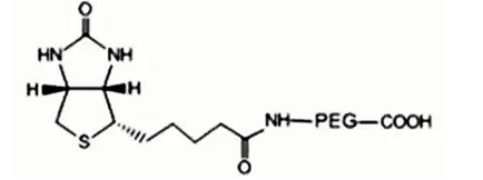 Biotin-PEG-acid