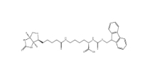 146987-10-2      Biotin標(biāo)記的Lys賴氨酸	     Fmoc-Lys(Biotin)-OH	