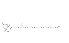  663171-32-2，Biotin-PEG6-NH2，小分子PEG