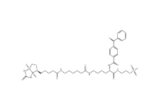 910036-44-1        甲基硫代磺酸2-[Nα-苯甲酰基苯甲酰氨基-N6-（6-生物素氨基己?；?L-賴氨酰胺基]乙基