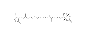 305372-39-8         Biotin PEG2 maleimide	