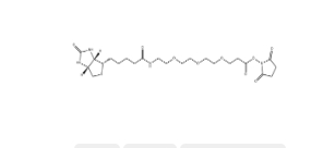  [CAS 1253286-56-4]	      Biotin-PEG3-NHS ester         生物素-PEG3-NHS酯	