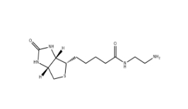 [CAS 111790-37-5]      Biotinylamidoethylacetamide       	生物素-乙二胺