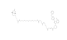 1599432-18-4       Ibrutinib-biotin	     依魯替尼生物素	