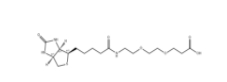 1365655-89-5,Biotin-PEG2-COOH	，生物素-二聚乙二醇-丙酸