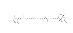 CAS： 305372-39-8；生物素 PEG2 馬來酰亞胺 