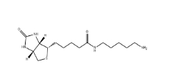 CAS號:115416-38-1；生物素-C5-胺；5-(Biotinamido)pentylamine