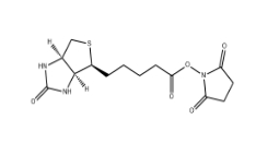 CAS號:35013-72-0；(+)生物素-N-琥珀酰亞胺基酯；Biotin NHS