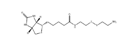 CAS號:128915-82-2；生物素半胱胺；Biotinyl Cystamine