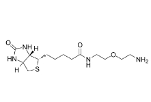 811442-85-0；Biotin-PEG1-amine；生物素-二聚乙二醇-氨基	