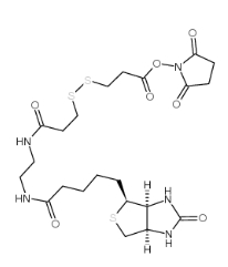 142439-92-7；Biotin-bisamido-SS-NHS ester；3-[3-[2-(生物素酰胺)乙基]氨基-3-氧代丙基]二硫基]丙酸琥珀酰亞胺酯	