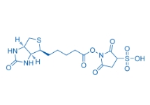 190598-55-1；Biotin sulfo-N-hydroxysuccinimide ester	；2,5-二氧代-1-((5-((3AS,4S,6AR)-2-氧代六氫-1H-噻吩并[3,4-D]咪唑-4-基)戊?；?氧基)吡咯烷-3-磺酸	