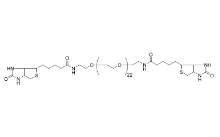 CAS：293298-36-9；Bis-Biotin-PEG23  