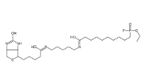 [CAS 259270-28-5]，FP-Biotin 