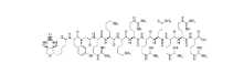 1231898-25-1，Biotin - TAT (47 - 57)