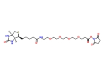 [CAS 459426-22-3]，15-Biotinlamino-4,7,10,13-Dioxanonanoic Acid N-Hydroxysuccinimidyl Ester 