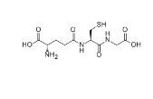 科研級谷胱甘肽L-Glutathione reduced ，CAS號: 70-18-8