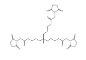 173414-89-6，m-C-tri(CH2-PEG1-NHS ester)      瑞禧生物