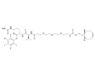 cas:2353409-45-5，BCN-PEG3-Val-Cit-PFP Ester，抗體藥物偶聯(lián)物（ADC）