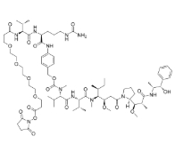 cas:2762518-86-3，NHS Ester-PEG4-Val-Cit-PAB-MMAE，抗體藥物偶聯物（ADC）